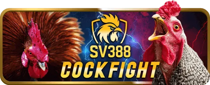 Giao diện người dùng acb888 app hướng dẫn tham gia VIP